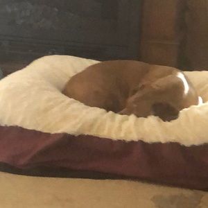 Meet your Posher, Barbara